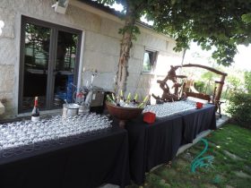 Casamento Tania Andradre & Ricardo Amaral