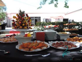 Casamento Tania Andradre & Ricardo Amaral