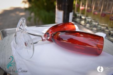 Casamento Filipa e Pedro - Quinta do Cisne