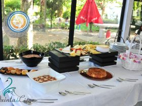 Batizado Alícia - Quinta do Cisne