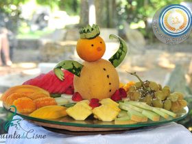 Batizado Alícia - Quinta do Cisne